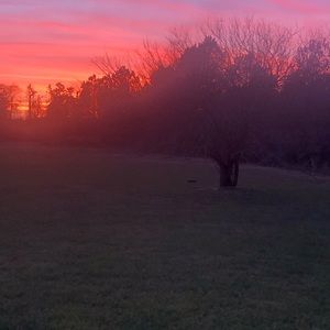 Meet your Posher, Razia